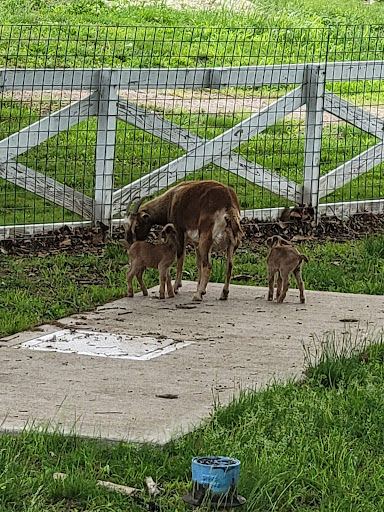 Golf Course «Drumm Farm Golf Club», reviews and photos, 15400 E 34th St S, Independence, MO 64055, USA