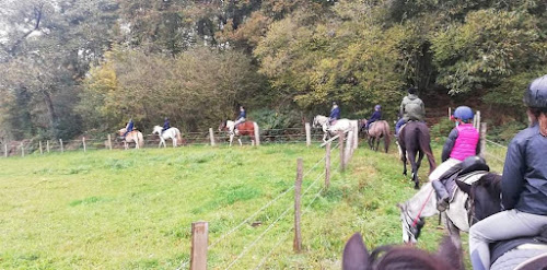 Centre Equestre Poney Club de Landisacq à Landisacq