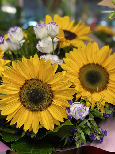 DOROTKA flowers / kwiaciarnia Nr 4 - Łódź