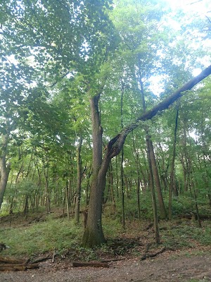 Kleinstuck Preserve - photo 21