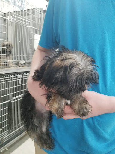 Pet Store «Southside Pet Shop», reviews and photos, 7031 Southside Dr, Louisville, KY 40214, USA