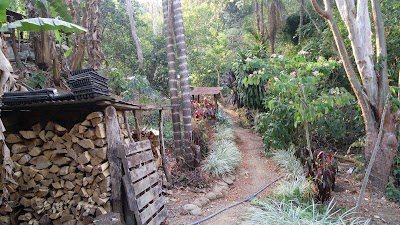 Photos of Finca Chinchilla