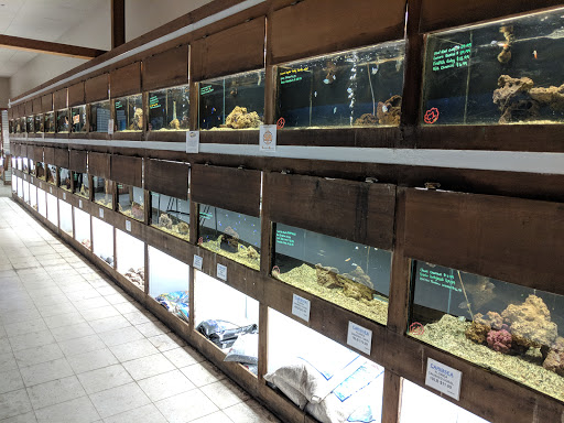 Pet Store «Pet World Warehouse Outlet», reviews and photos, 2148 W Beltline Hwy, Madison, WI 53713, USA