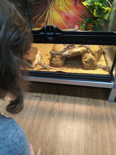 Pet Store «Petland», reviews and photos, 1600 Turner McCall Blvd, Rome, GA 30161, USA