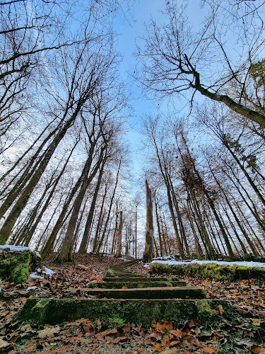 Moosholzweiher - Andere