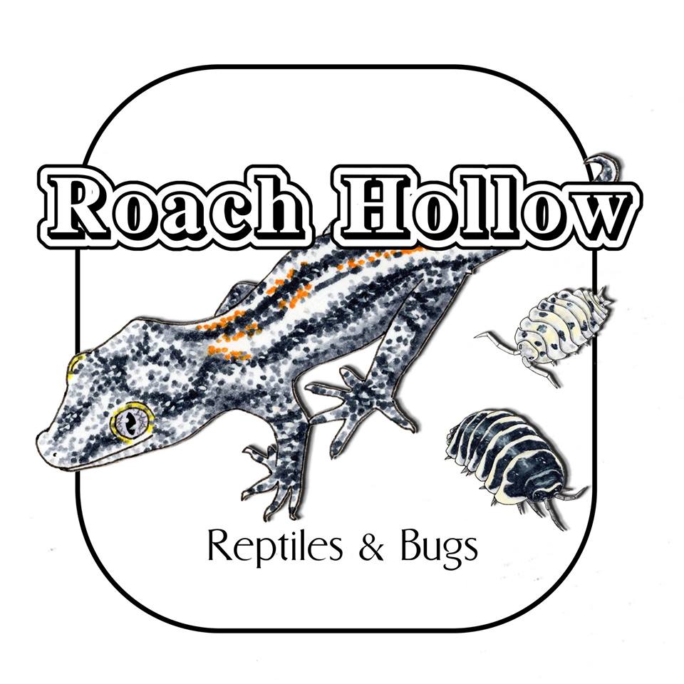 Roach Hollow Reptiles and Bugs