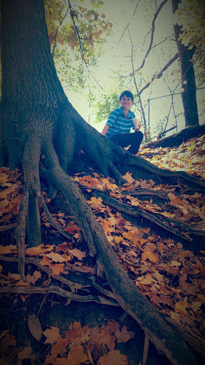 Park «Wayne County Parks & Rec», reviews and photos, 33175 Ann Arbor Trail, Westland, MI 48185, USA