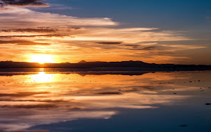 Photo n°94 de Ristorante Pizzeria L'Azzurra à Ferney-Voltaire ()