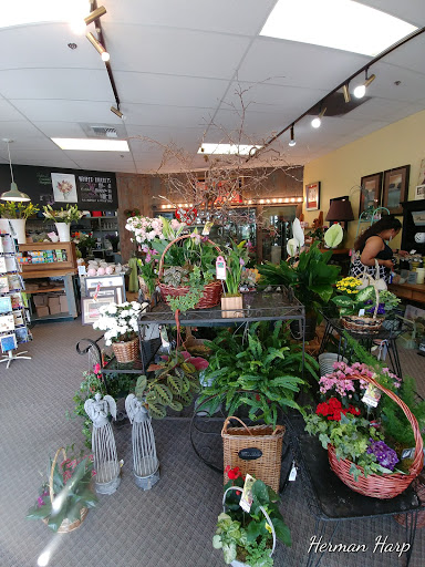 Florist «Lund Buds & Blooms», reviews and photos, 7701 S Hosmer St Suite C, Tacoma, WA 98408, USA