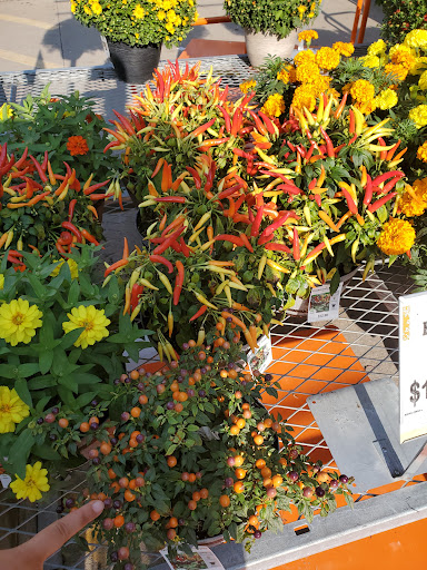 Home Improvement Store «The Home Depot», reviews and photos, 4501 1st Ave SE, Cedar Rapids, IA 52403, USA