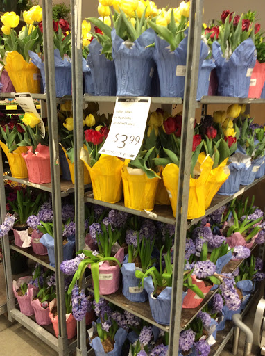 Supermarket «ALDI», reviews and photos, 4140 Fairmont Pkwy, Pasadena, TX 77504, USA