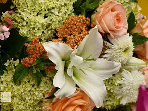 Florist «Phoebe Floral Shop», reviews and photos, 2102 Hamilton St, Allentown, PA 18104, USA