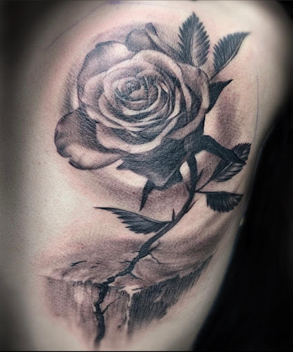 Explore random tattoo ideas for guys, creative tattoo ideas in Transfer, available at Studio Antherium Tattoo