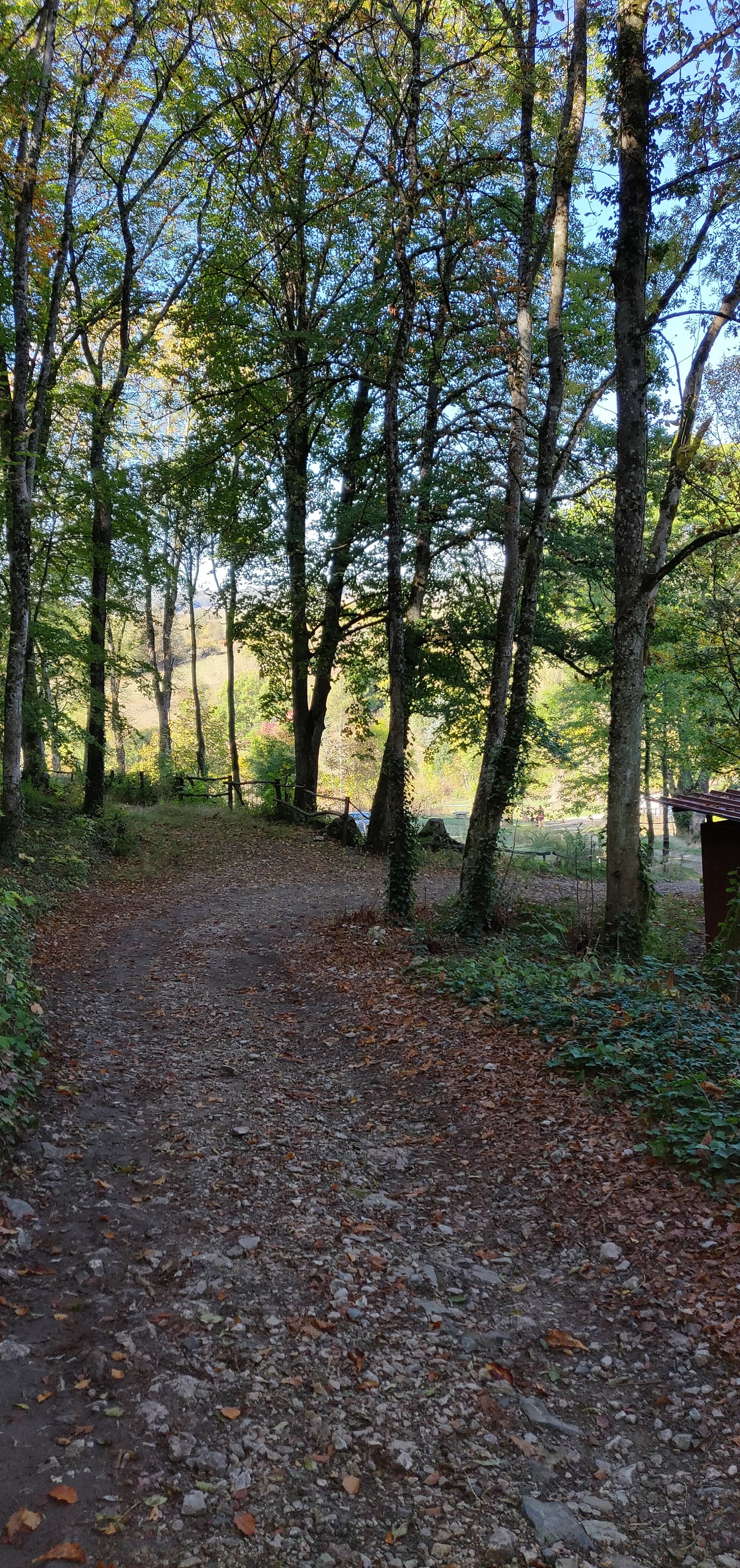 Photo n° 1 de l'avis de Will. fait le 28/10/2018 à 22:05