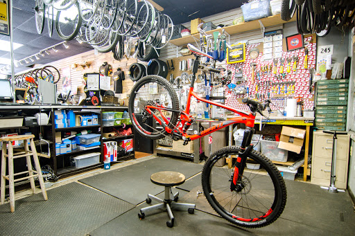 Bicycle Store «Family Bike Shop», reviews and photos, 1286 MD-3, Crofton, MD 21114, USA