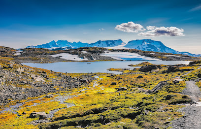 Turistveg: Sognefjellsvegen 1434 moh (Scenic Roald)