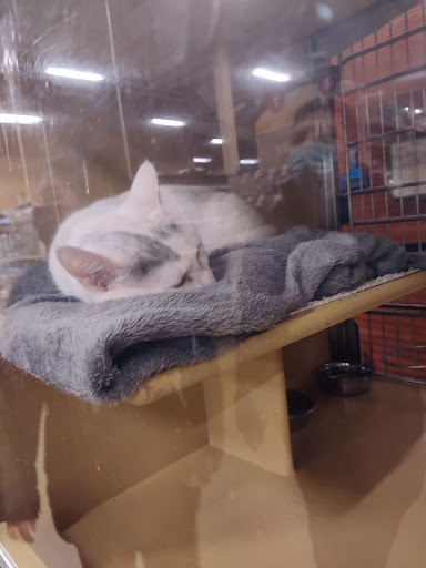 Pet Supply Store «PetSmart», reviews and photos, 2100 88th St, North Bergen, NJ 07047, USA