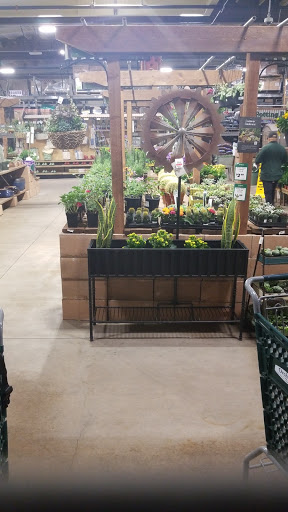 Hardware Store «Orchard Supply Hardware», reviews and photos, 43 Peninsula Center, Rolling Hills Estates, CA 90274, USA