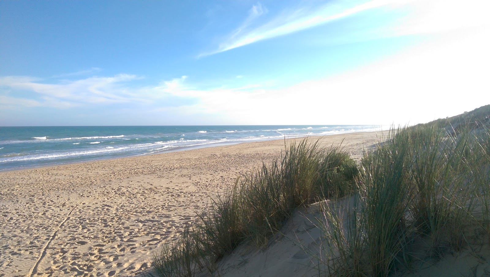 Mcloughlins Beach'in fotoğrafı çok temiz temizlik seviyesi ile
