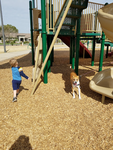 Park «Pinelake Park», reviews and photos, 598 E Crescent Way, Chandler, AZ 85249, USA