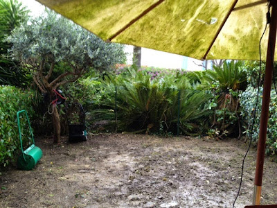 peppe jardinage à Antibes