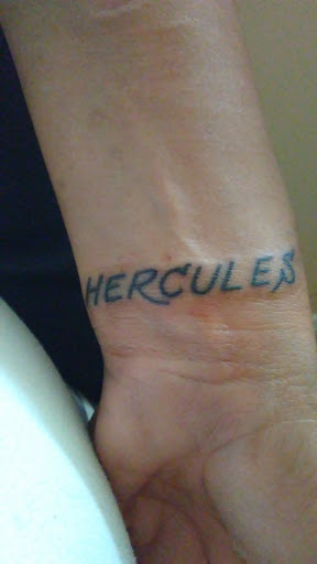 Explore collage tattoo ideas, creative tattoo ideas in Lake Worth Beach, available at SOLID IMAGE TATTOO & PIERCING
