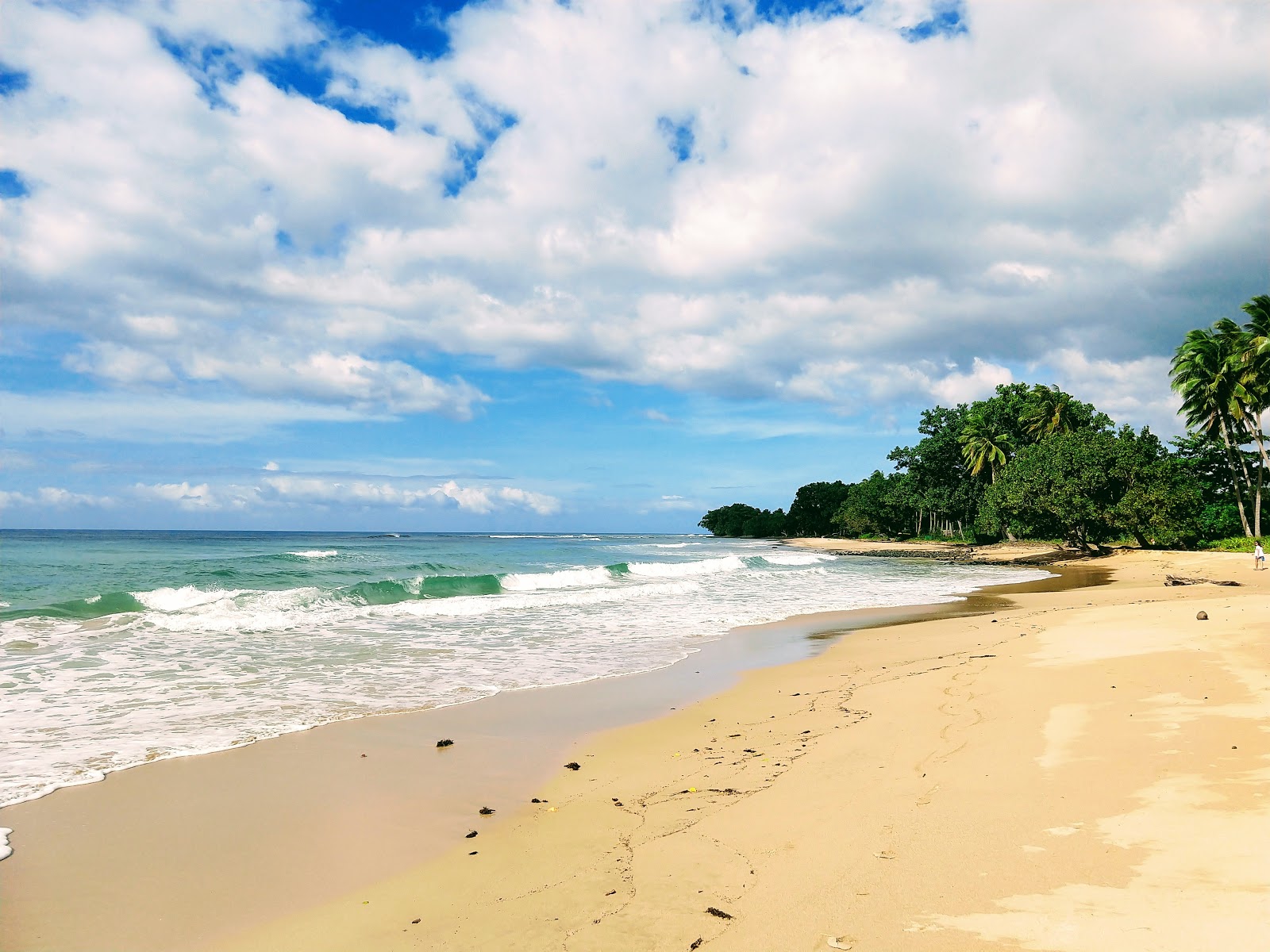 Zdjęcie Napsan Beach położony w naturalnym obszarze