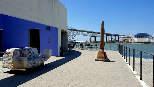 Art Museum «The Art Museum of South Texas», reviews and photos, 1902 N Shoreline Blvd, Corpus Christi, TX 78401, USA