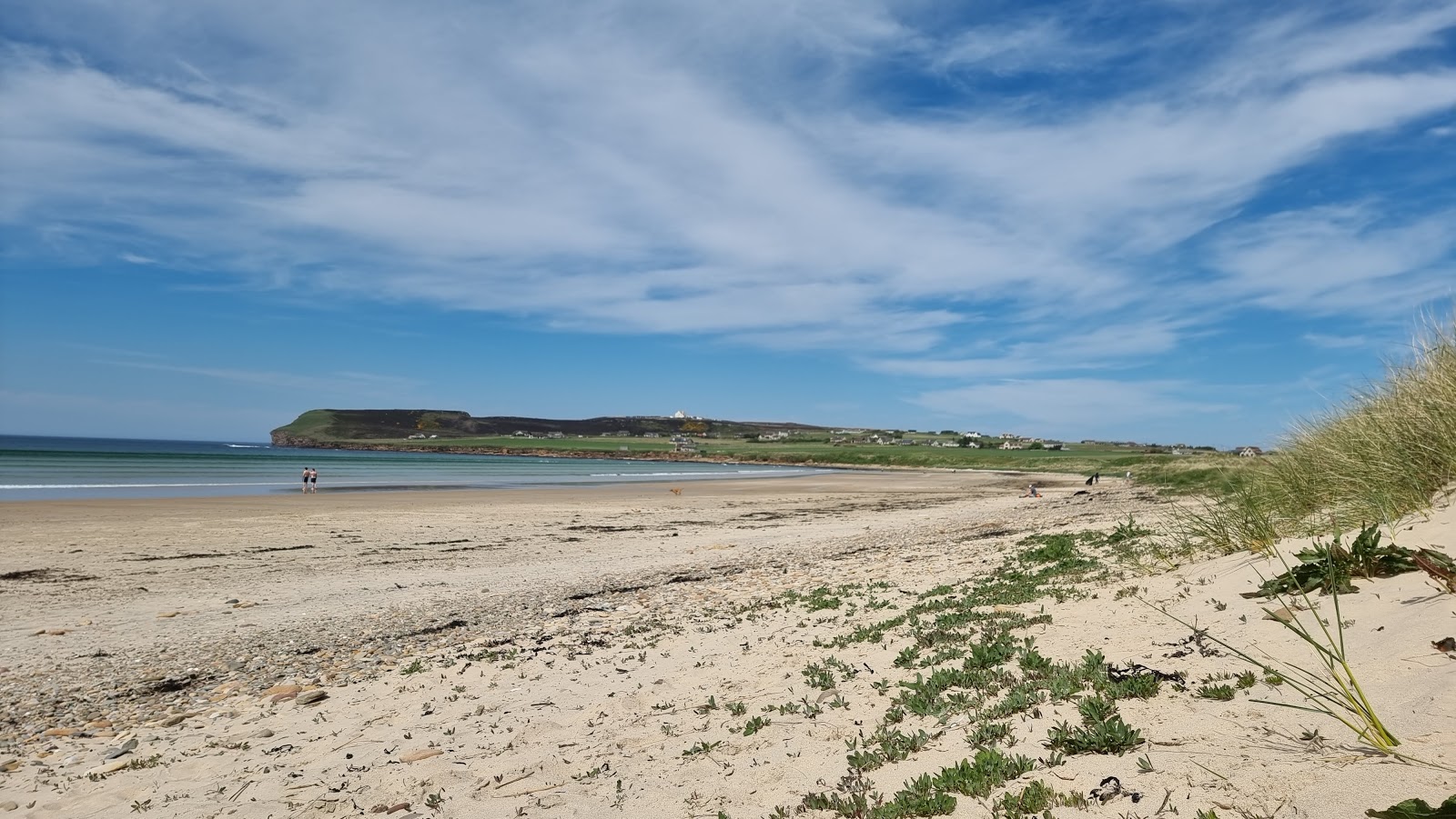 Foto de Dunnet Beach con muy limpio nivel de limpieza