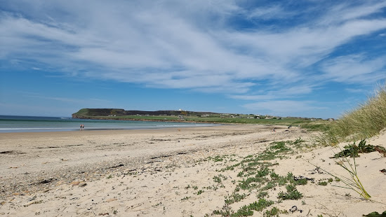 Dunnet Beach
