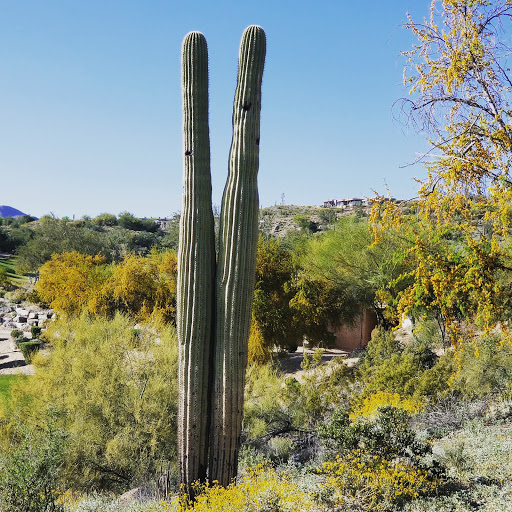 Golf Course «Eagle Mountain Golf Club», reviews and photos, 14915 Eagle Mountain Pkwy, Fountain Hills, AZ 85268, USA