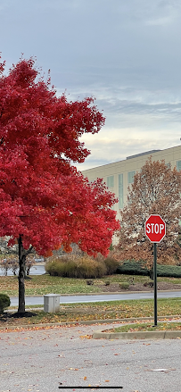 Baptist Health Urgent Care - Eastpoint - Photo 6 - Car repair in Louisville, KY, Louisville