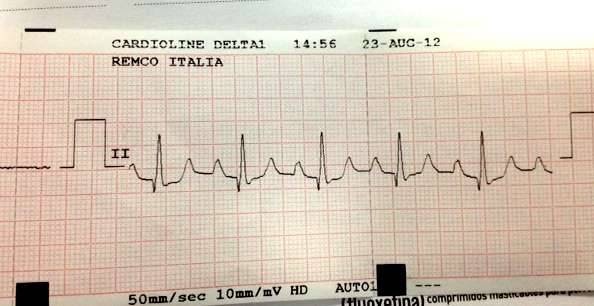 Imagen de Hospital Veterinario El Madroñal (14 de 19)