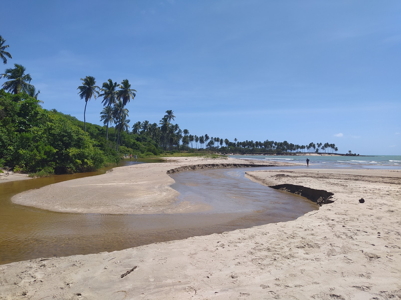 Praia de Paripueira photo #9
