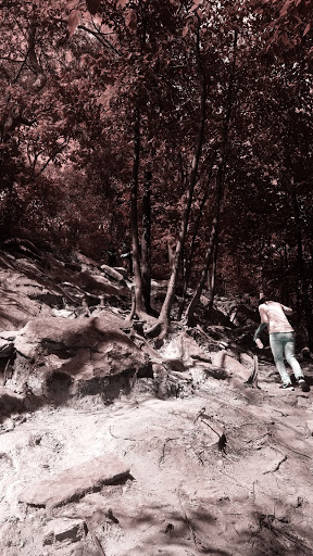 Winery «Narmada Winery», reviews and photos, 43 Narmada Ln, Amissville, VA 20106, USA