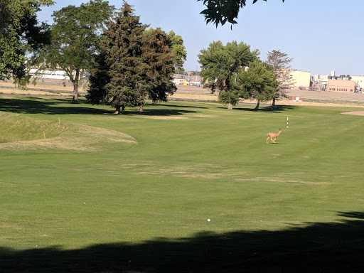 Golf Course «Hubbard Golf Course», reviews and photos, 7005 Golf Course Dr, Hill AFB, UT 84056, USA