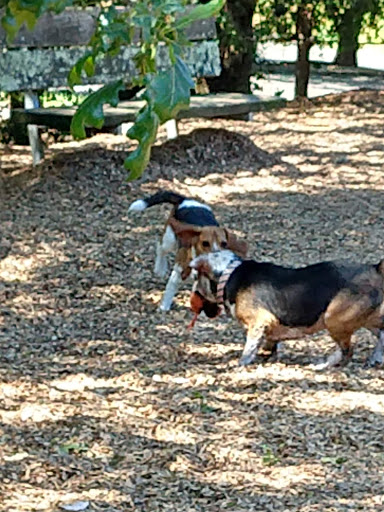 Redwood Veterinary Clinic - 6