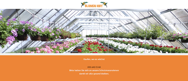 Blumen Hirt - Blumengeschäft