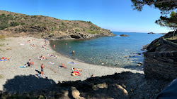 Photo de S'Alqueria gran Beach avec petite baie