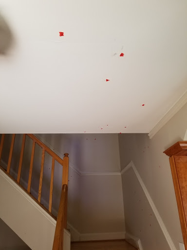 Moving and Storage Service «Two Marines Moving», reviews and photos, 6021 Farrington Ave, Alexandria, VA 22304, USA