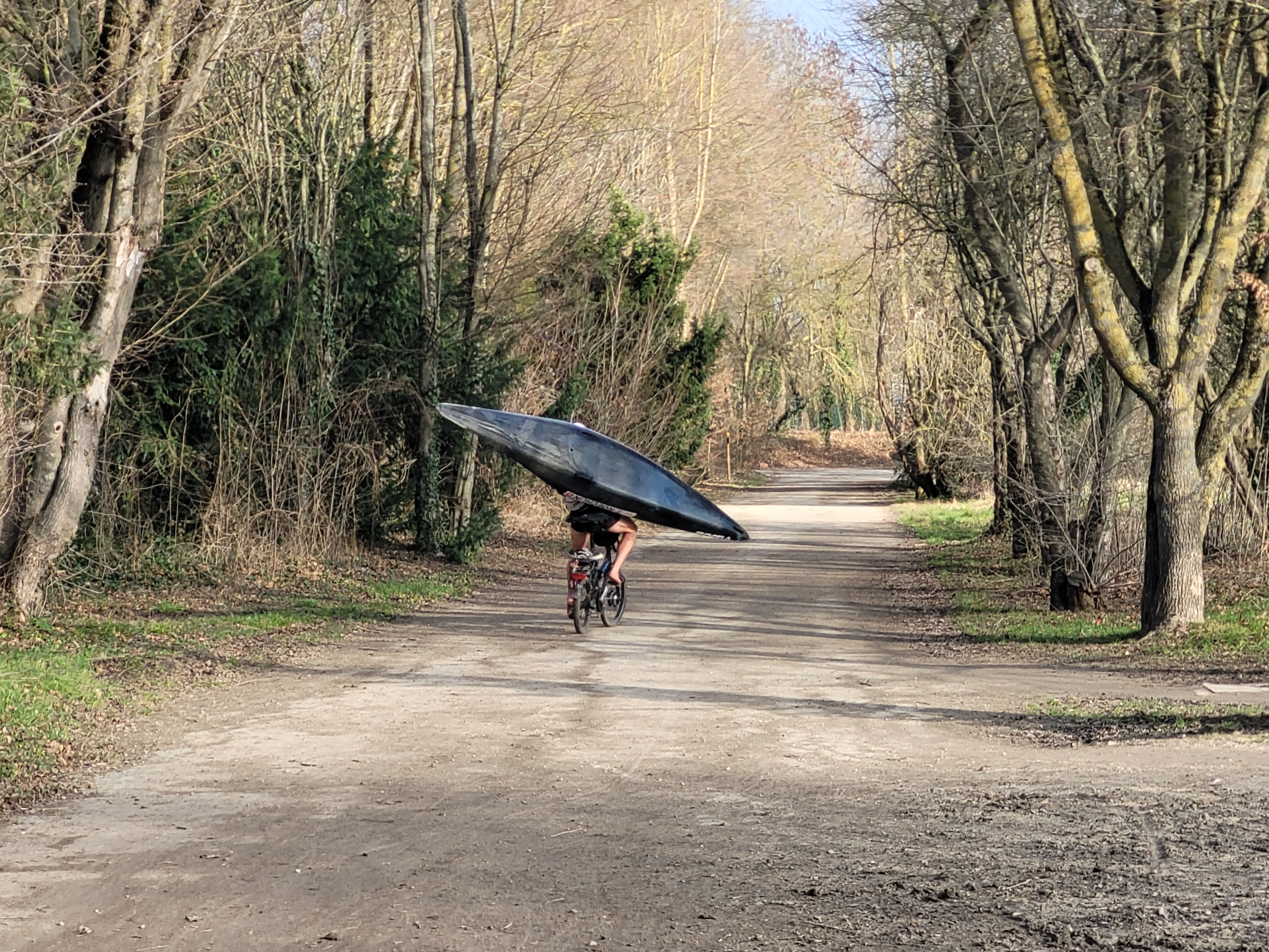 Photo n° 10 de l'avis de Alain.o fait le 31/01/2024 à 16:44