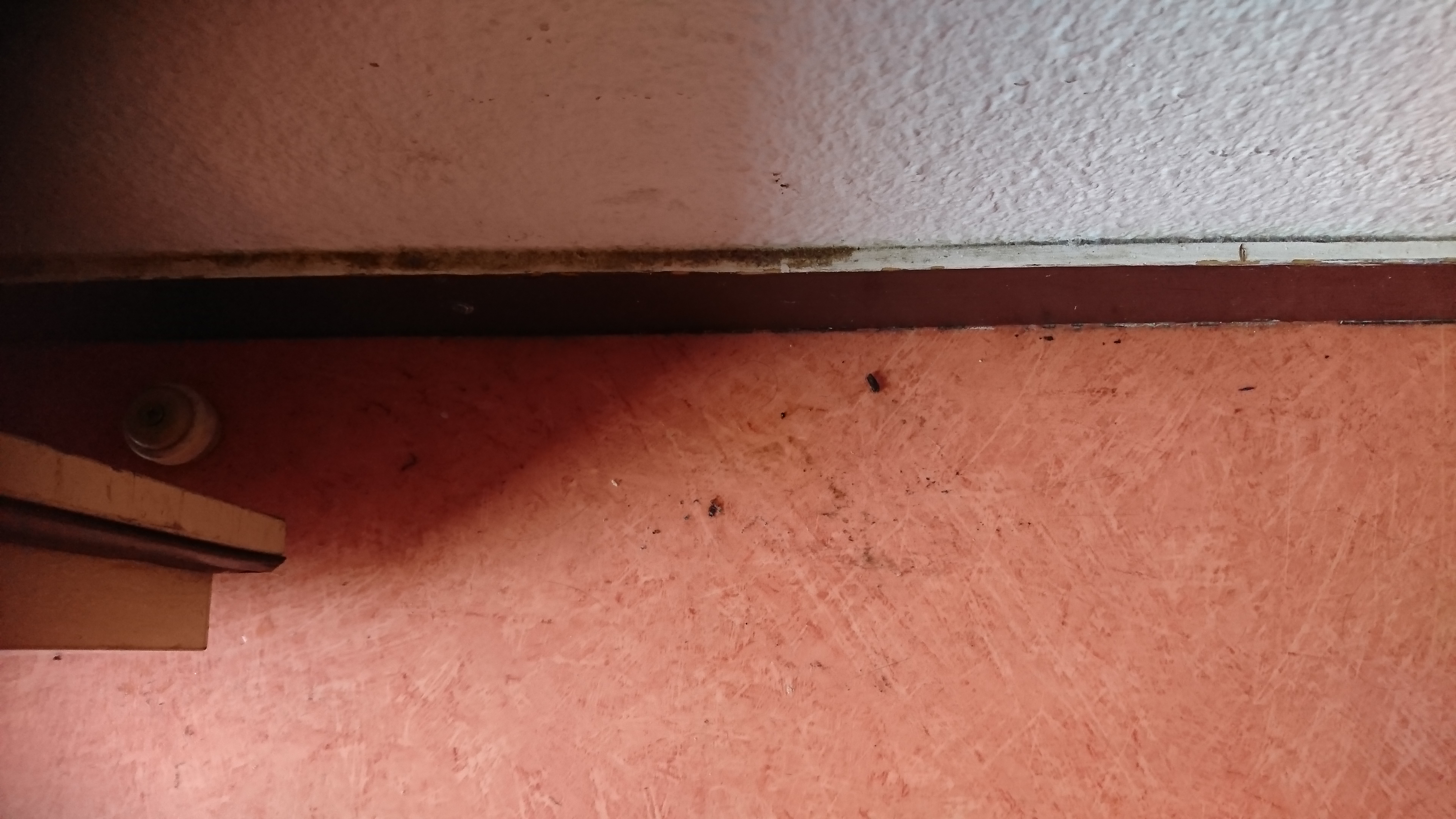 Photo n° 4 de l'avis de sylvain.n fait le 12/11/2018 à 09:51