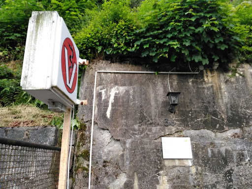 Hahn-Springmann unter Triberg, 