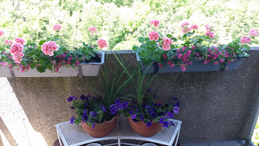 Mulch Supplier «Albrecht», reviews and photos, 650 Montgomery Ave, Narberth, PA 19072, USA