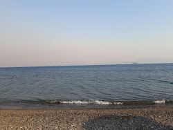 Limni Thermisia beach'in fotoğrafı çok temiz temizlik seviyesi ile