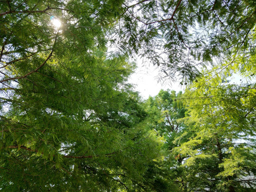 Park «Midway Park», reviews and photos, 615 N Main St, Euless, TX 76039, USA