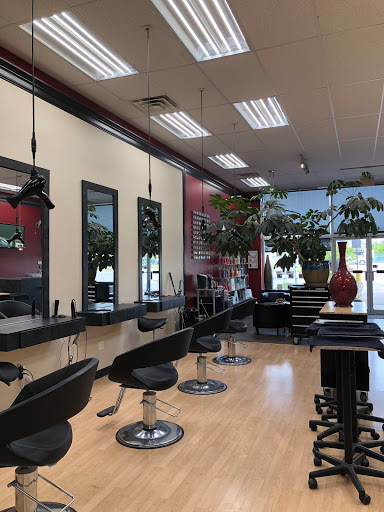 Hair Salon «Michael the Salon», reviews and photos, 8520 Transit Rd, Williamsville, NY 14221, USA