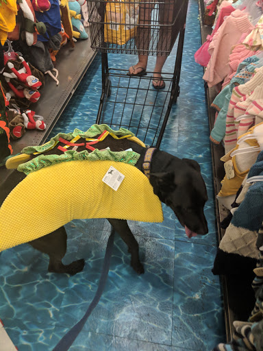 Pet Supply Store «Petco Animal Supplies», reviews and photos, 3246 N John Young Pkwy, Kissimmee, FL 34741, USA