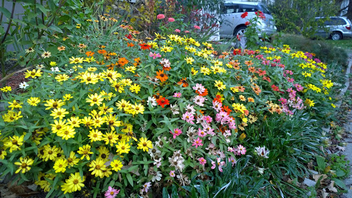 Optometrist «Ithaca Eye Care Optometry - Dr. Amy K. Boscia», reviews and photos, 414 E Upland Rd, Ithaca, NY 14850, USA