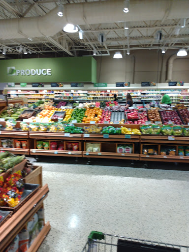 Shopping Mall «Highland Square», reviews and photos, 1010 Dunn Ave, Jacksonville, FL 32218, USA